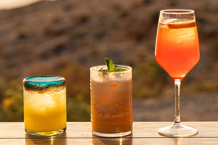 T cocteles 2026 trio