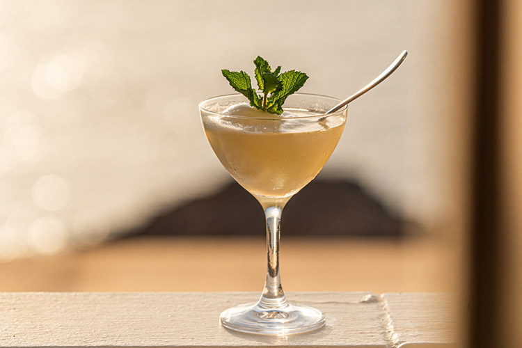 T cocteles Sgroppino