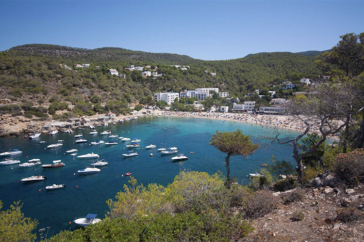 T playas oeste ibiza vedella